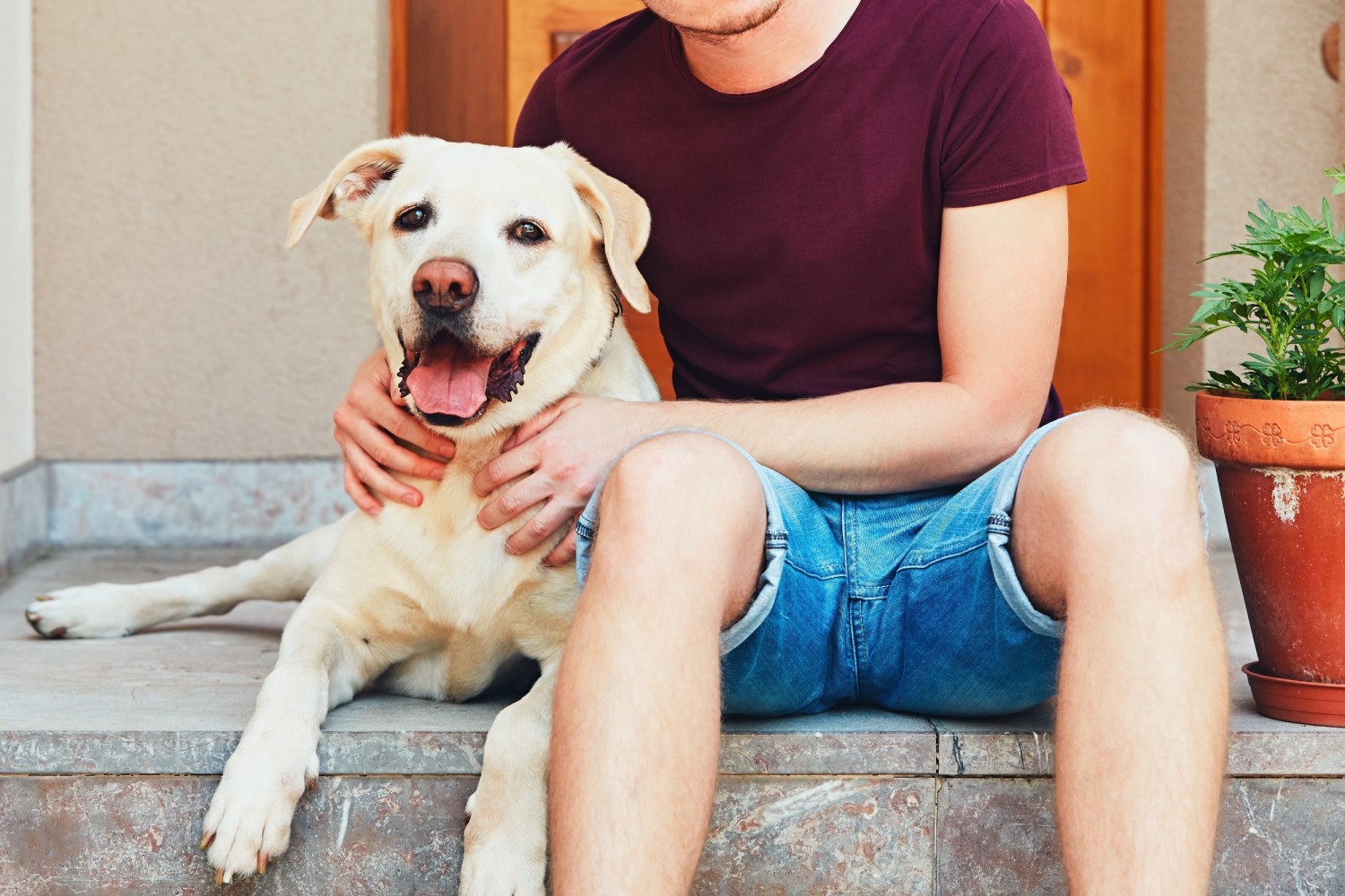 Dog and owner sitting outdoors