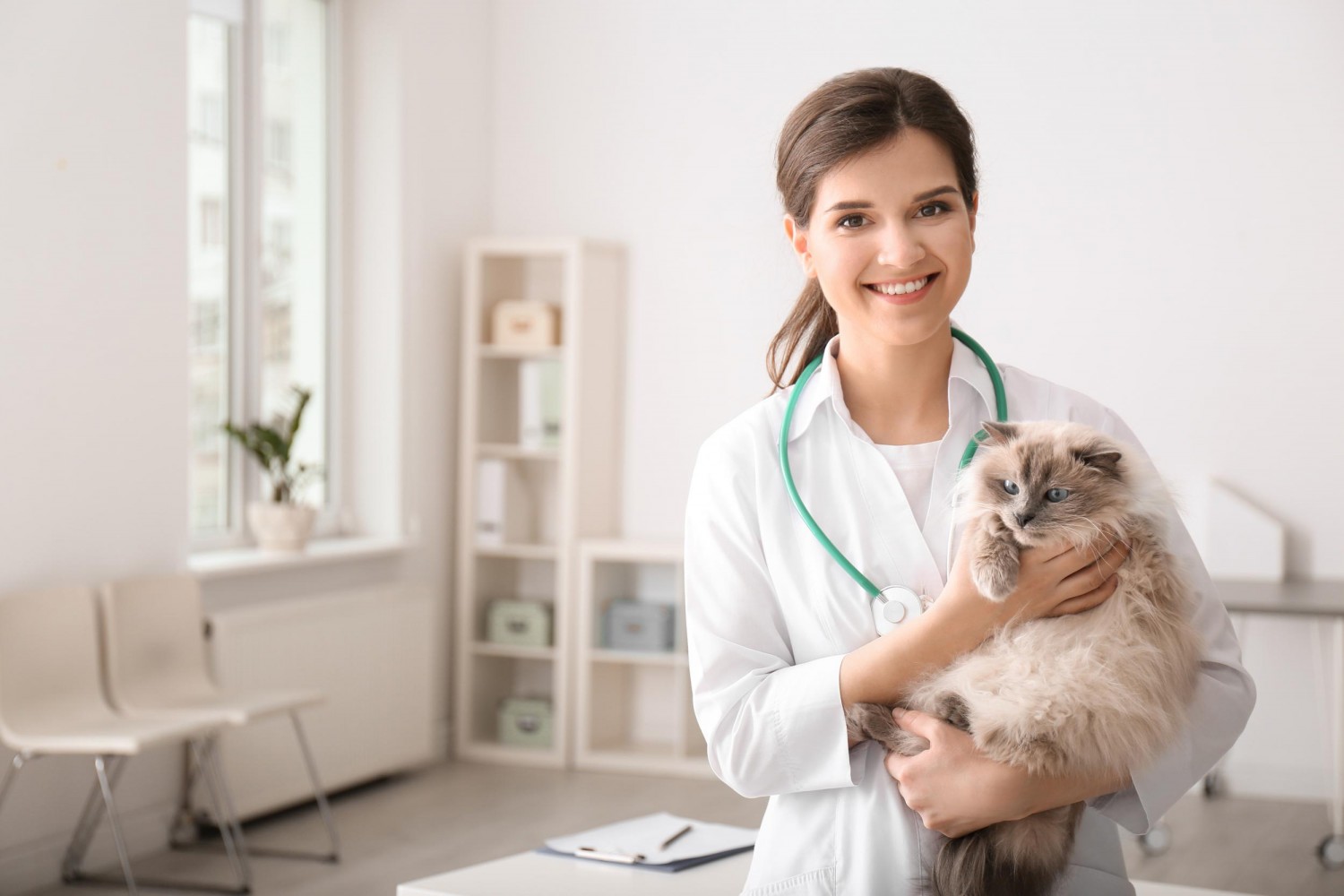 Doctor with Cat